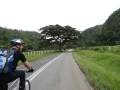 2013-10_CubaActive_A_ (71)